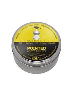 HUNTING POINTED