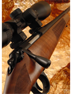 sirearms 2