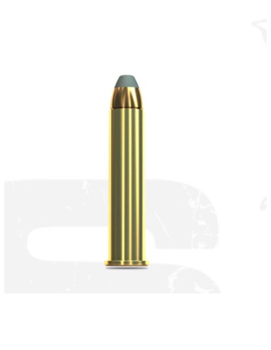 45-70 GOVT