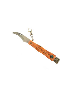 JS000057   Coltello per funghi pieghevole con spazzolino