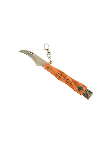 JS000057   Coltello per funghi pieghevole con spazzolino