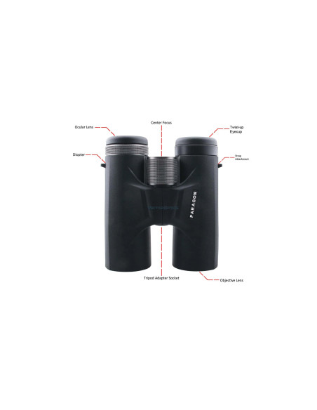 SC000104   VECTOR OPTICS PARAGON BINOCOLO 10 X 24   2